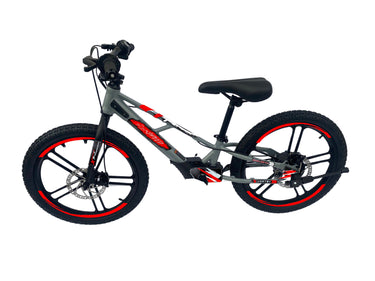 Pῡr-Speed Ēko 20 Electric Balance Bike for Kids | 36v/350w with 5.2Ah Battery